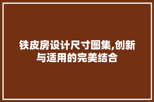 铁皮房设计尺寸图集,创新与适用的完美结合