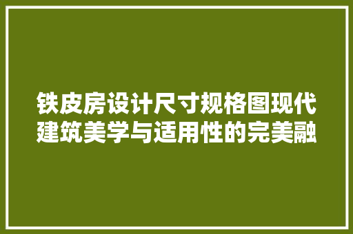 铁皮房设计尺寸规格图现代建筑美学与适用性的完美融合
