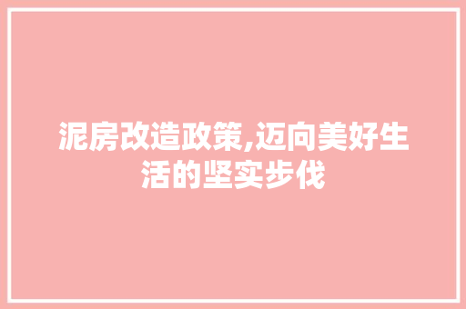 泥房改造政策,迈向美好生活的坚实步伐