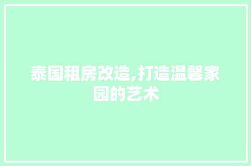 泰国租房改造,打造温馨家园的艺术