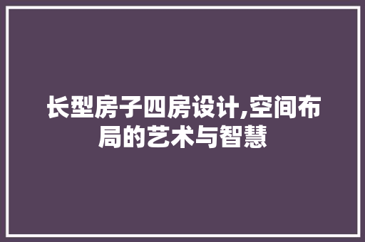 长型房子四房设计,空间布局的艺术与智慧