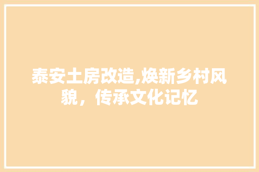 泰安土房改造,焕新乡村风貌，传承文化记忆