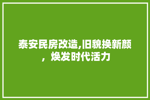 泰安民房改造,旧貌换新颜，焕发时代活力