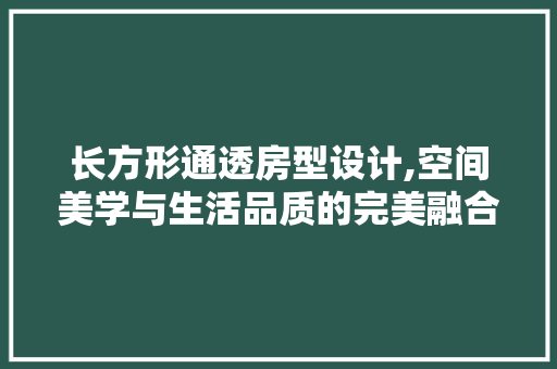 长方形通透房型设计,空间美学与生活品质的完美融合