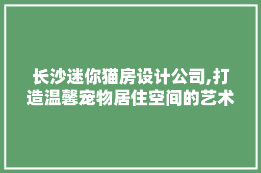长沙迷你猫房设计公司,打造温馨宠物居住空间的艺术