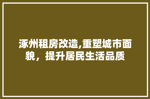 涿州租房改造,重塑城市面貌，提升居民生活品质