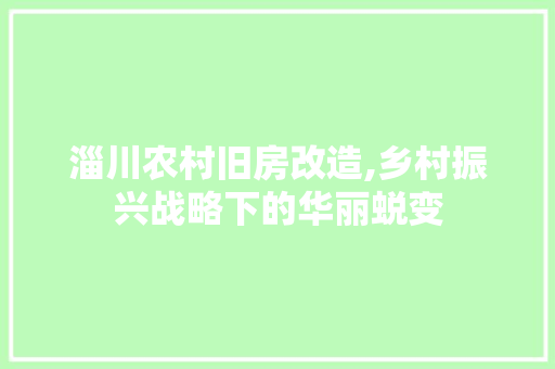淄川农村旧房改造,乡村振兴战略下的华丽蜕变