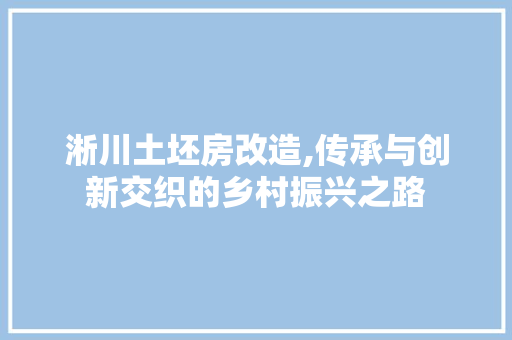 淅川土坯房改造,传承与创新交织的乡村振兴之路
