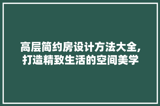高层简约房设计方法大全,打造精致生活的空间美学