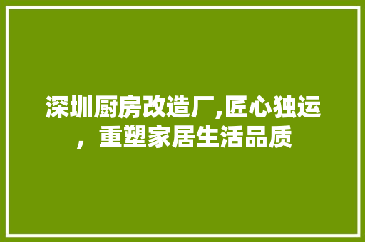 深圳厨房改造厂,匠心独运，重塑家居生活品质