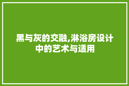 黑与灰的交融,淋浴房设计中的艺术与适用