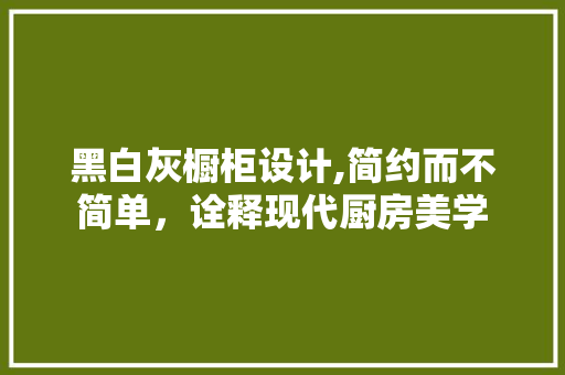 黑白灰橱柜设计,简约而不简单，诠释现代厨房美学
