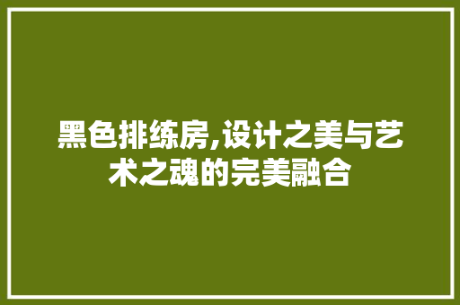 黑色排练房,设计之美与艺术之魂的完美融合