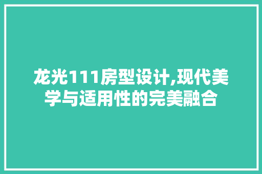 龙光111房型设计,现代美学与适用性的完美融合