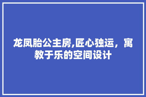 龙凤胎公主房,匠心独运，寓教于乐的空间设计