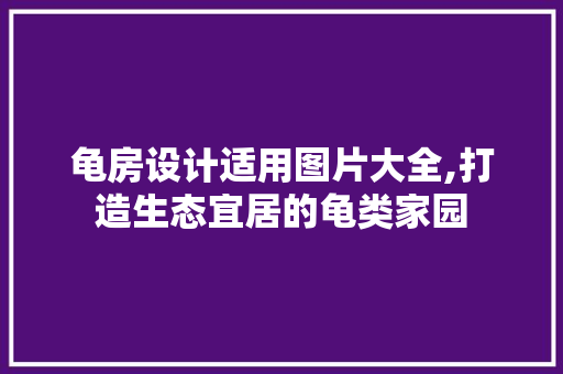 龟房设计适用图片大全,打造生态宜居的龟类家园