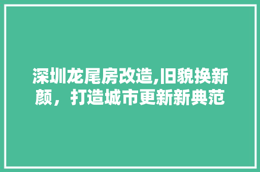 深圳龙尾房改造,旧貌换新颜，打造城市更新新典范