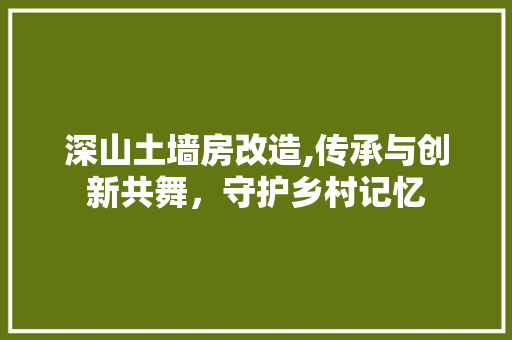 深山土墙房改造,传承与创新共舞，守护乡村记忆