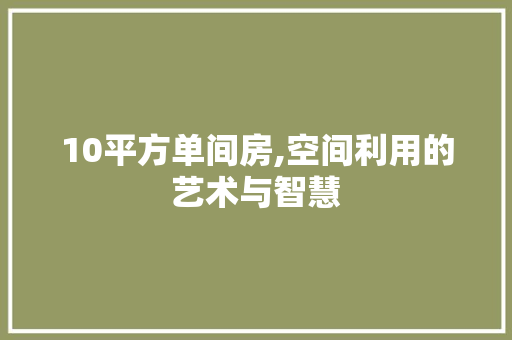 10平方单间房,空间利用的艺术与智慧