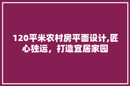 120平米农村房平面设计,匠心独运，打造宜居家园