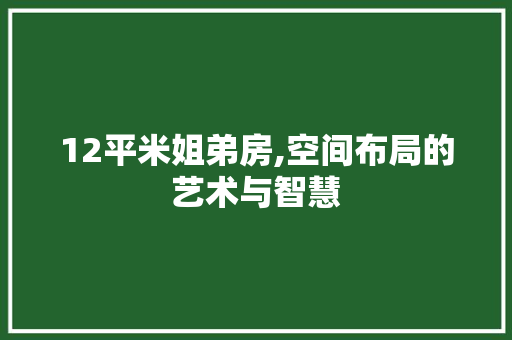 12平米姐弟房,空间布局的艺术与智慧
