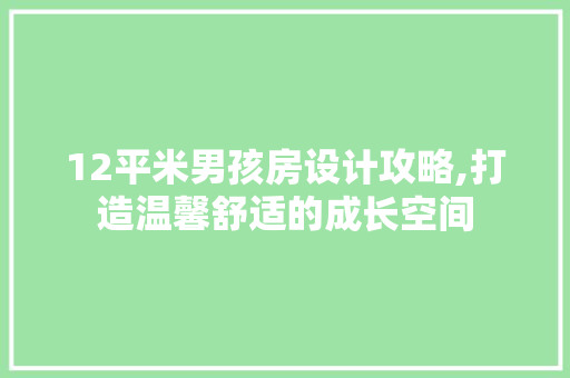 12平米男孩房设计攻略,打造温馨舒适的成长空间