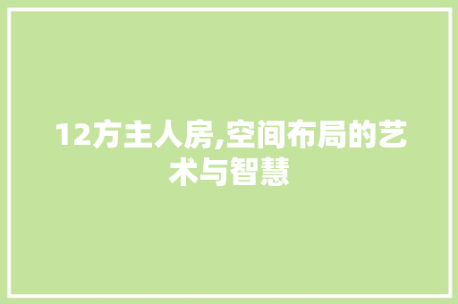 12方主人房,空间布局的艺术与智慧