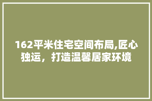 162平米住宅空间布局,匠心独运，打造温馨居家环境
