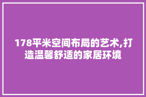 178平米空间布局的艺术,打造温馨舒适的家居环境