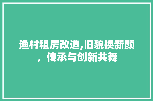 渔村租房改造,旧貌换新颜，传承与创新共舞