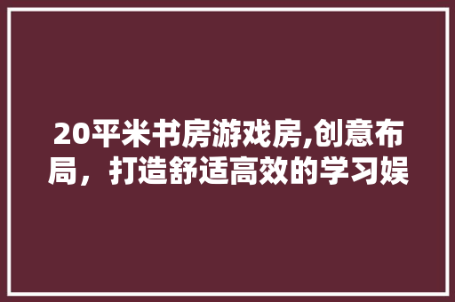 20平米书房游戏房,创意布局，打造舒适高效的学习娱乐空间