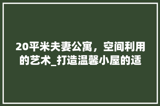 20平米夫妻公寓，空间利用的艺术_打造温馨小屋的适用指南