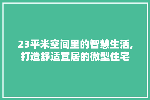 23平米空间里的智慧生活,打造舒适宜居的微型住宅
