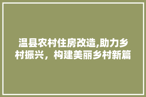 温县农村住房改造,助力乡村振兴，构建美丽乡村新篇章