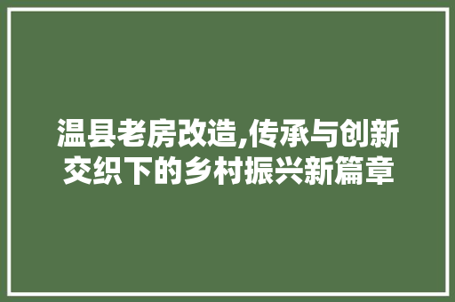 温县老房改造,传承与创新交织下的乡村振兴新篇章