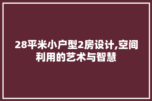 28平米小户型2房设计,空间利用的艺术与智慧