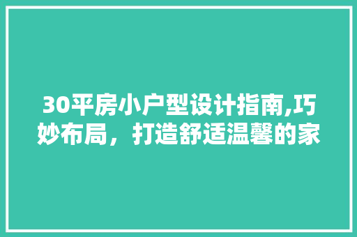30平房小户型设计指南,巧妙布局，打造舒适温馨的家