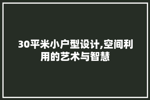 30平米小户型设计,空间利用的艺术与智慧
