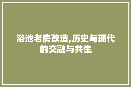 浴池老房改造,历史与现代的交融与共生
