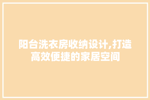 阳台洗衣房收纳设计,打造高效便捷的家居空间