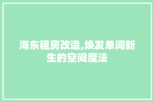 海东租房改造,焕发单间新生的空间魔法