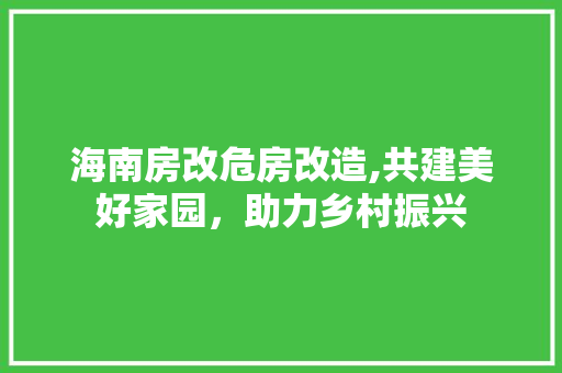 海南房改危房改造,共建美好家园，助力乡村振兴