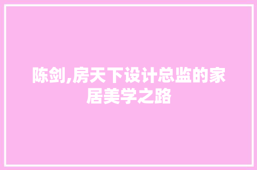 陈剑,房天下设计总监的家居美学之路