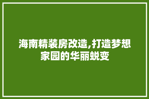 海南精装房改造,打造梦想家园的华丽蜕变