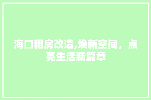 海口租房改造,焕新空间，点亮生活新篇章
