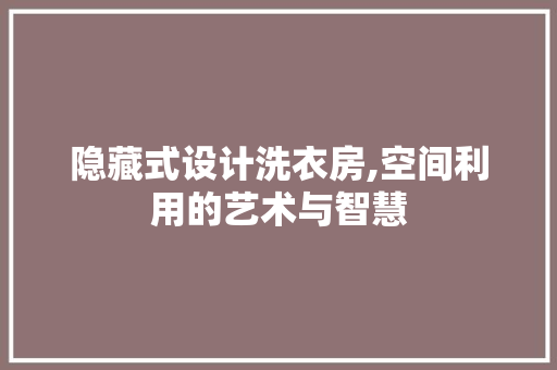 隐藏式设计洗衣房,空间利用的艺术与智慧