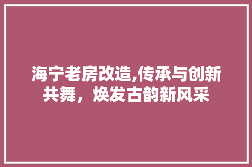 海宁老房改造,传承与创新共舞，焕发古韵新风采