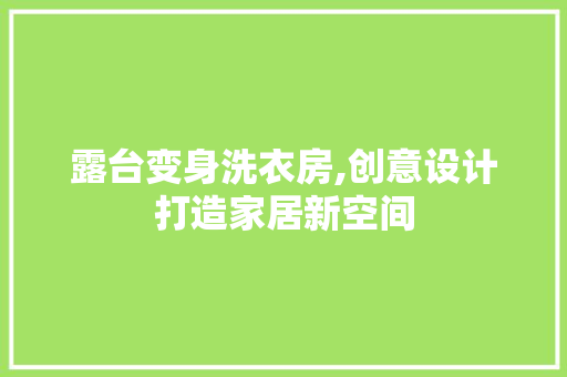 露台变身洗衣房,创意设计打造家居新空间