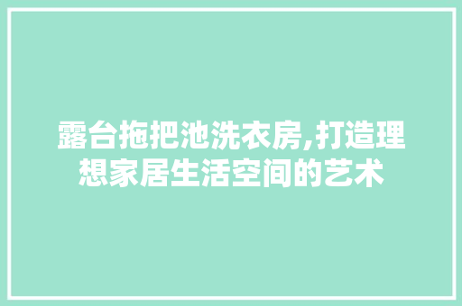 露台拖把池洗衣房,打造理想家居生活空间的艺术