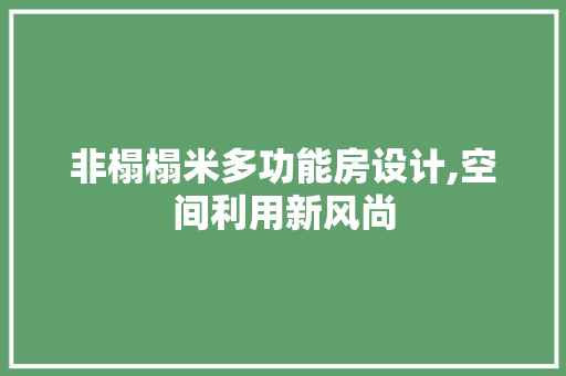 非榻榻米多功能房设计,空间利用新风尚